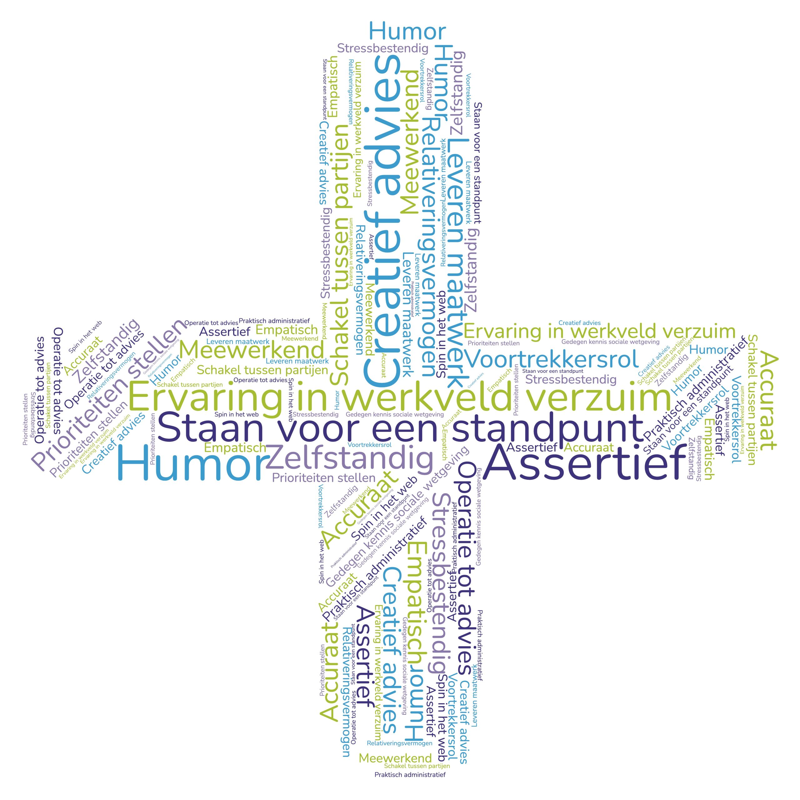 Wordcloud vacature casemanager